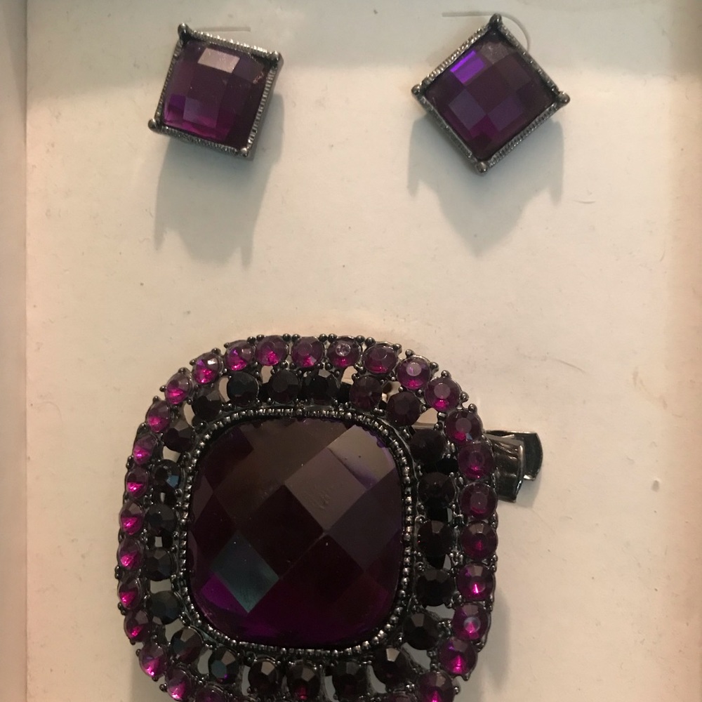 Purple stone pin and post earrings